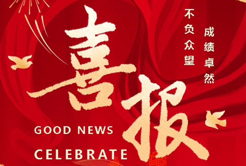 榮譽(yù)時(shí)刻 | 全盛機(jī)電榮獲?？低暋蹲罴逊?wù)獎(jiǎng)》殊榮